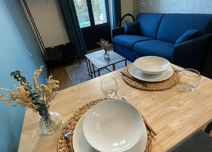 Furnished Downtown Aix Les Bains 102