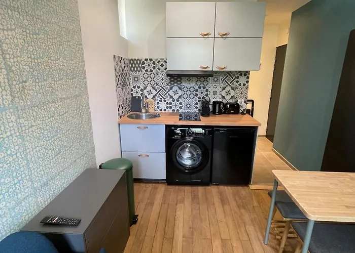 Appartement Furnished Downtown Aix Les Bains 102 *